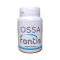 Ossa Fontis